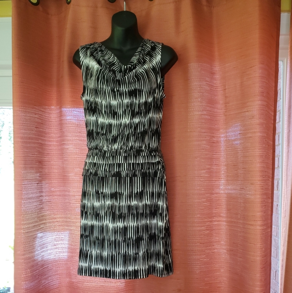 Ann Taylor size small petite